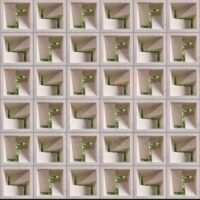 WhatsApp Image 2025-08-07 at 08.35.03 (1) WhatsApp Image 2025-08-07 at 08.35.03 (1)