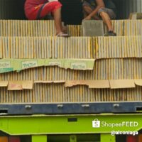 WhatsApp Image 2025-08-07 at 08.36.30 (1) WhatsApp Image 2025-08-07 at 08.36.30 (1)