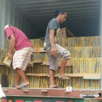 WhatsApp Image 2025-08-07 at 08.36.30 (2) WhatsApp Image 2025-08-07 at 08.36.30 (2)